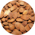 Apricot Kernals, Bitter