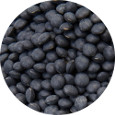 Lentils, Black