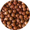 Filberts (Hazelnuts)