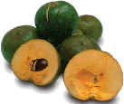 Lucuma