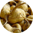 Maca