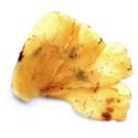 Gastrodia - Tian Ma Gastrodia - Tian Ma