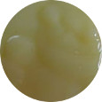 Royal Jelly, Fresh Bulk Refrigerated