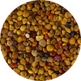 Bee Pollen, Mixed<br> Low Moisture Whole Granule
