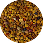 Bee Pollen, Mixed<br> Low Moisture Whole Granule
