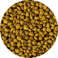 Cole Bee Pollen<br> Low Moisture Whole Granule