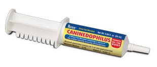 CanineDophilus for Dogs
