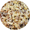 Frankincense, Wild