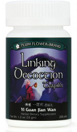 Linking Decoction Teapills<br> Yi Guan Jian Wan