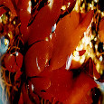 Dulse Flakes