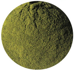 Barley Grass Powder, Organic<br> Minimum Order Required