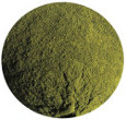 Broccoli Powder, Organic