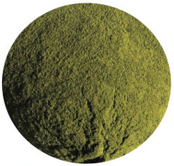 Broccoli Powder, Organic
