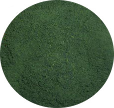Chlorella Powder, Organic