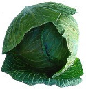 Cabbage, Green Organic, Bulk