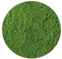 Spinach Powder, Organic