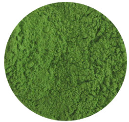 Spinach Powder, Organic
