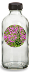 Honey Vinegar