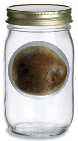 Luo Han Guo Raw Honey