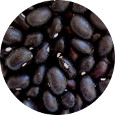 Black Turtle Bean, Organic 25 lb.