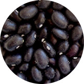 Black Turtle Bean, Organic 25 lb.