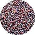 Broccoli Seed, Organic 5 lb.
