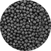 Canola Seed, Organic 25 lb.