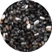 Chia Seed, Black Organic 55 lb.