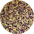 Clover Seed, Red Organic 25 lb.