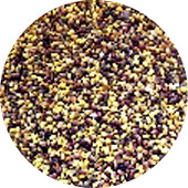 Clover Seed, Red Organic 25 lb.
