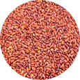 Cress Seed, Organic
