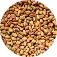 Fenugreek Seed, Organic 25 lb.