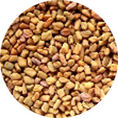 Fenugreek Seed, Organic 25 lb.