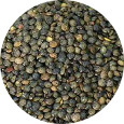 Lentils, French Green Organic