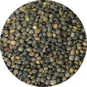 Lentils, French Green Organic 25 lb.