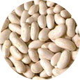 Great Northern Bean, Organic
