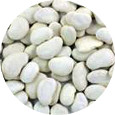 Lima Bean, Baby Organic