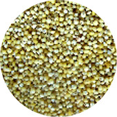 Millet, Hulled Organic 25 lb.