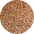 Millet, Whole Organic