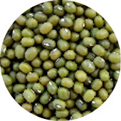 Mung Bean, Organic 25 lb.