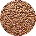 Mustard Seed, Yellow Organic 25 lb.