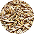 Oats, Whole Organic