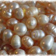 Pearl Powder<br> Zhen Zhu<br> 5 Kilo