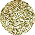 Quinoa, White Organic<br> Minimum Order Required
