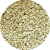 Quinoa, White Organic 25 lb.