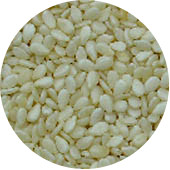 Sesame Seed, Hulled Organic 25 lb.