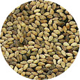 Sesame Seed, Tan Organic 25 lb.