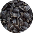 Sunflower Seed, Black Organic 25 lb.