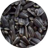 Sunflower Seed, Black Organic 25 lb.